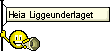 Liggeunderlaget