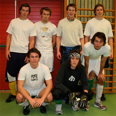 Viddefjell United