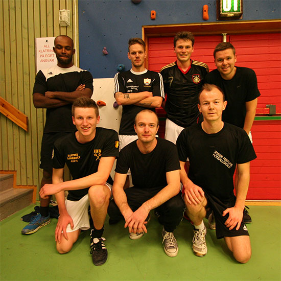 Ugler i mosen