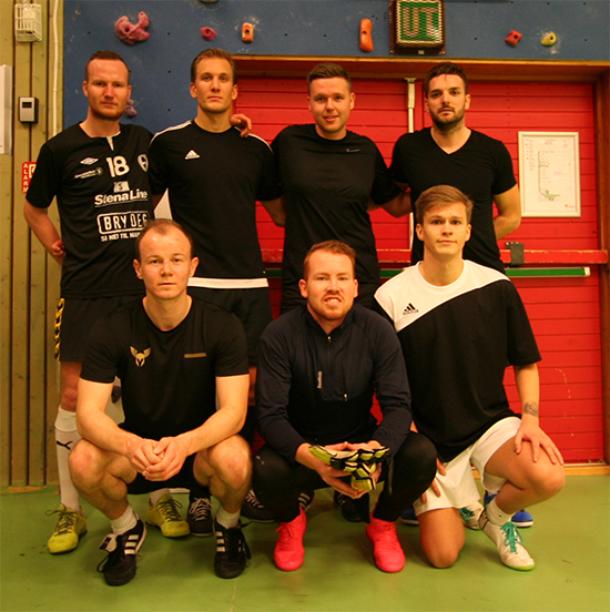 Ugler i mosen