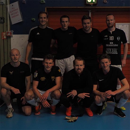 Ugler i mosten