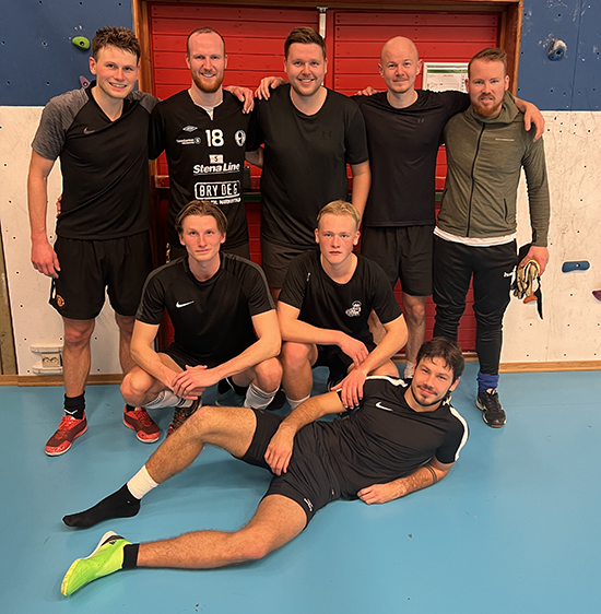Ugler i mosen